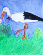 Matejčíková Tatiana.jpg